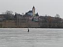 Třibřichy